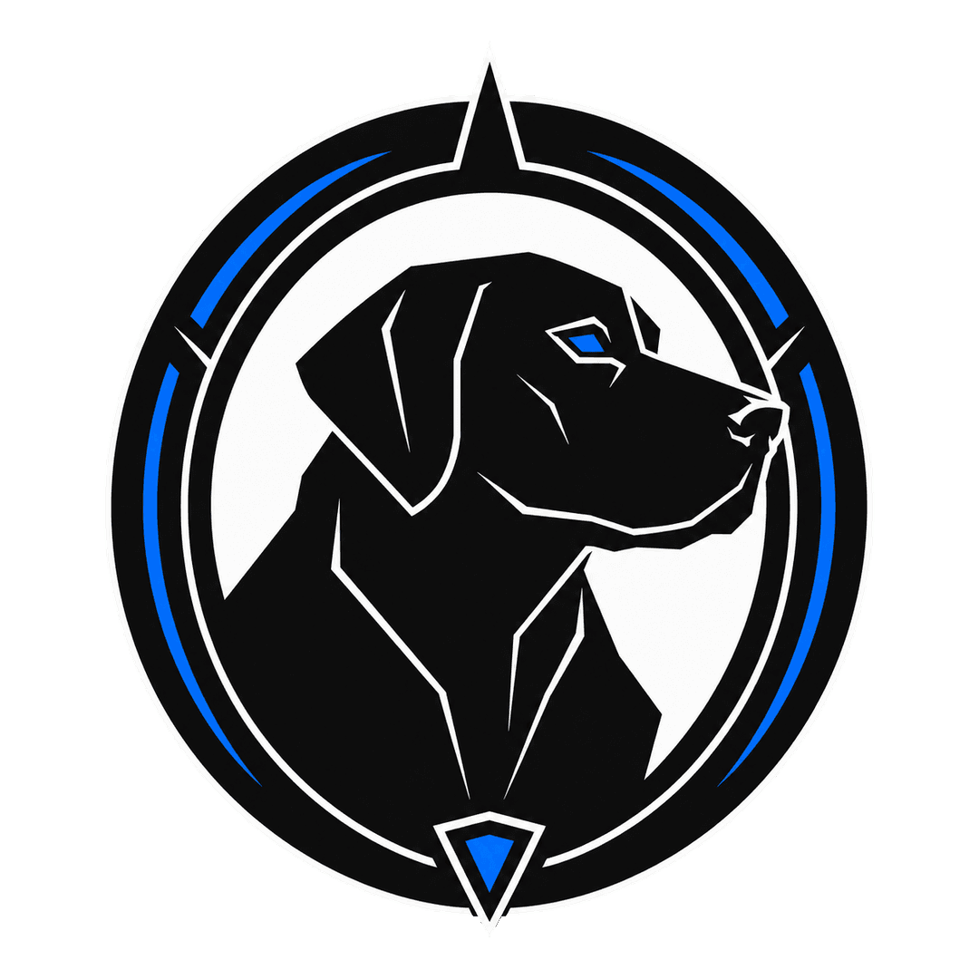 Identidad visual Sirius Alpha